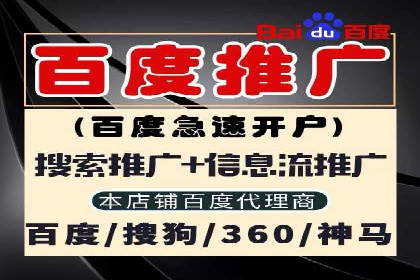 不同预算下的百度推广：案例分析与费用解析